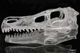 Carved Quartz Crystal Dinosaur Skull - Huge #199462-4